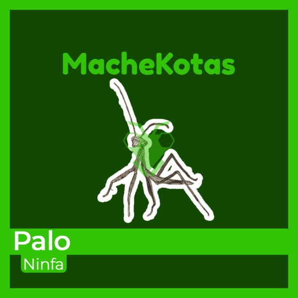 Mantis Palo Mexicana