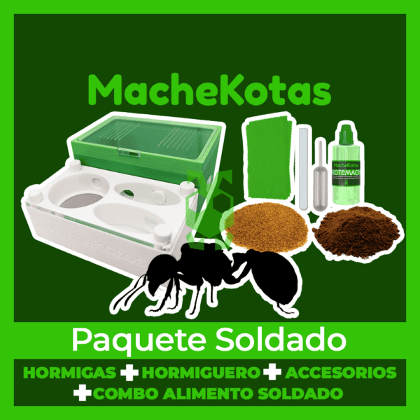 Paquete Soldado