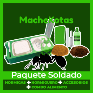 Kit Paquete Inicial Granja Colonia de Hormigas MacheKotas