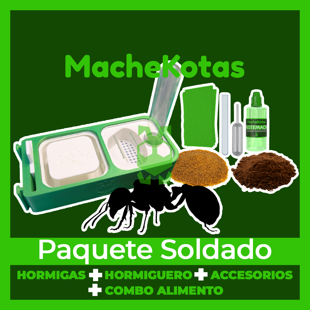 Kit Paquete Inicial Granja Colonia de Hormigas MacheKotas