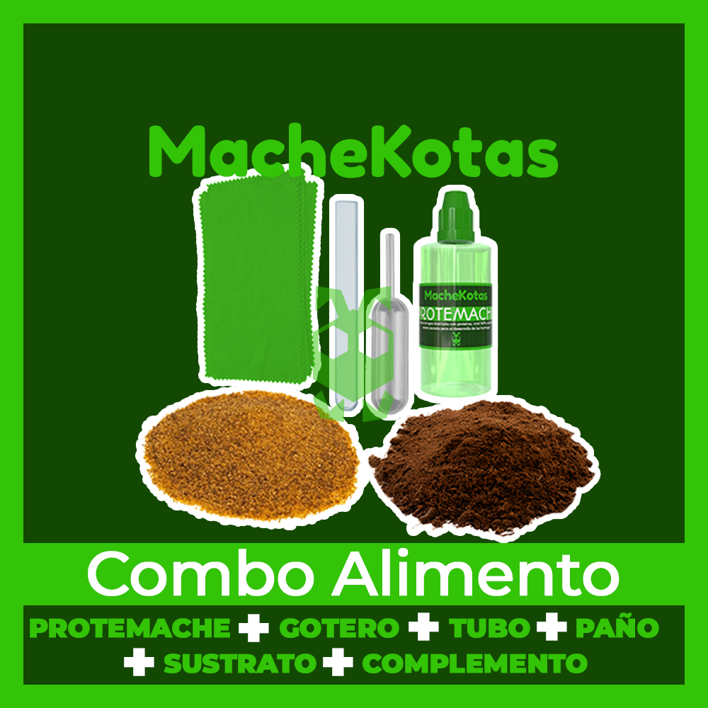 Paquete Soldado | Inicia Tu Colonia de Hormigas - Imagen 3
