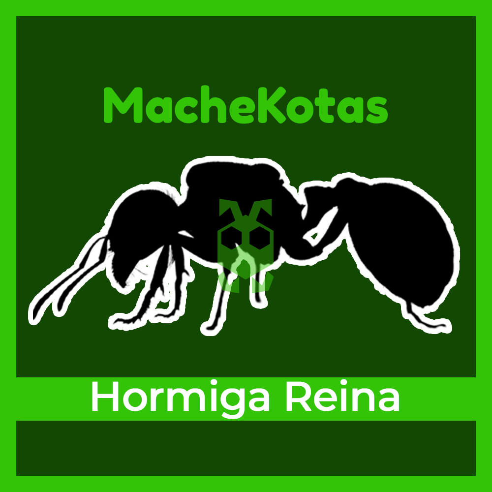 comprar hormiga reina